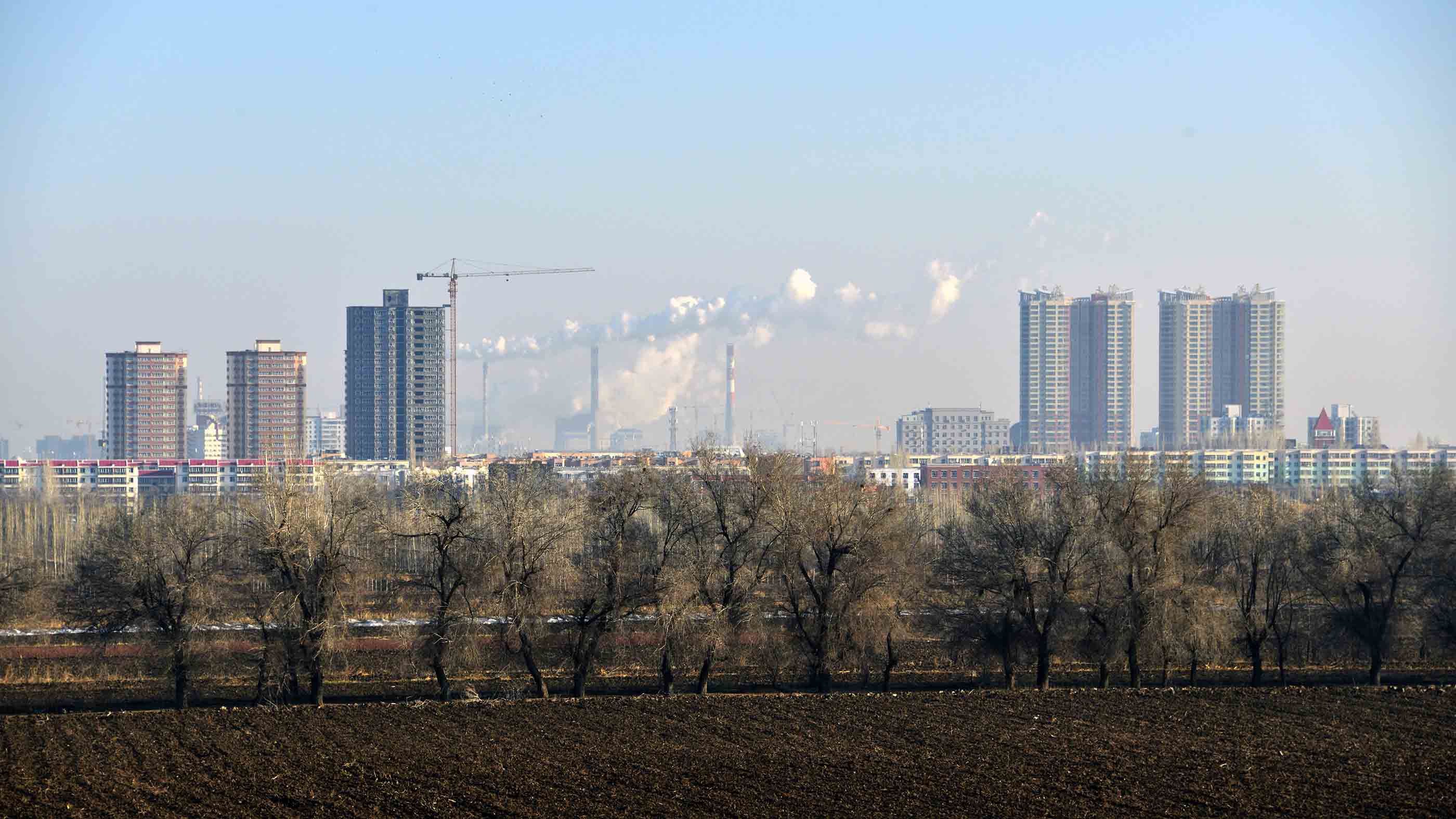 �����ճ�Ϊ��ʷ  (3)����.jpg