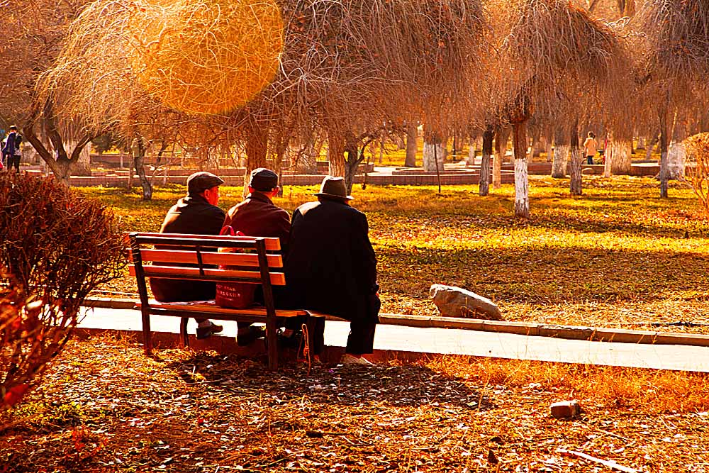 ���� IMG_6903.JPG