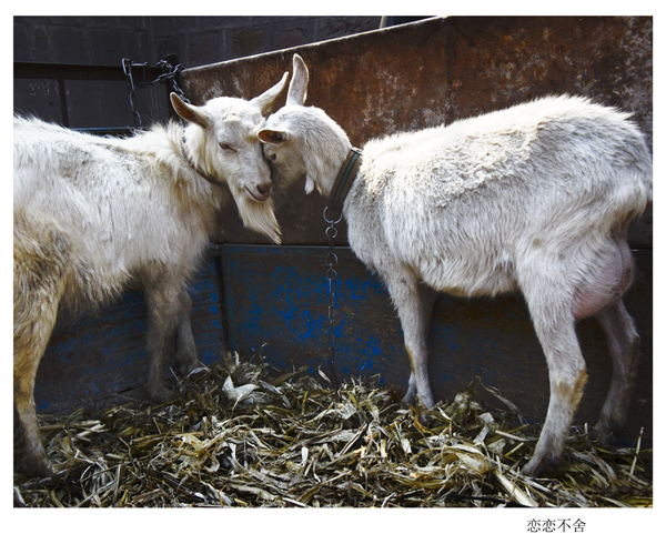 2014��3��20����Ƭ ����20112.jpg