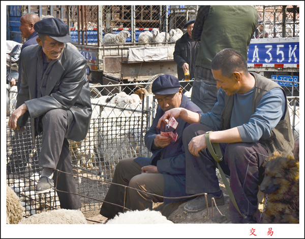 2014��3��20����Ƭ ����27512.jpg