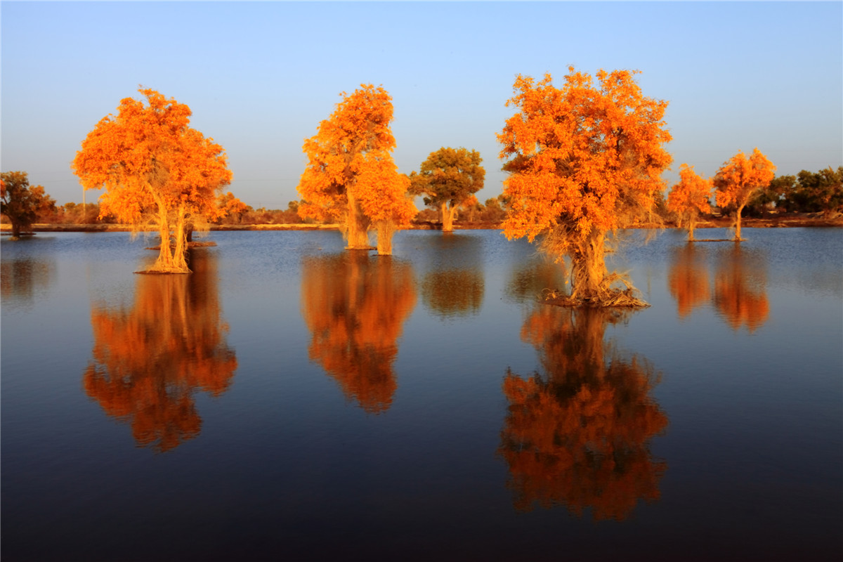 ���� (1).jpg