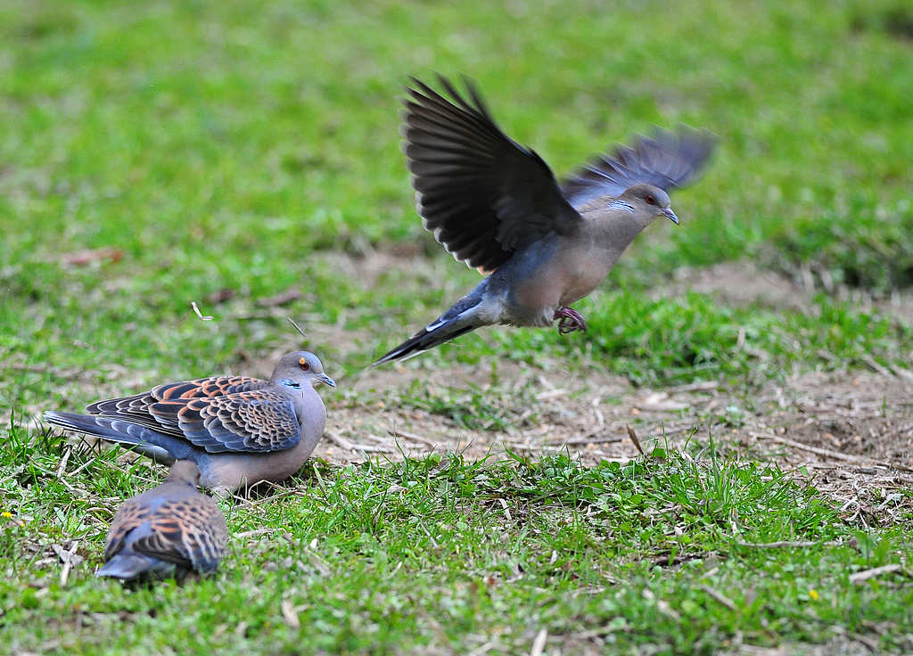 7DSC_0517.jpg