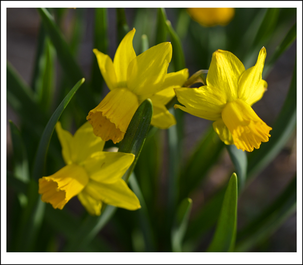 2014��3��230�ո��� 00412.jpg