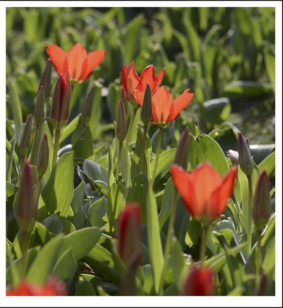 ��ת ��ת 2014��3��230�ո��� 02912.jpg