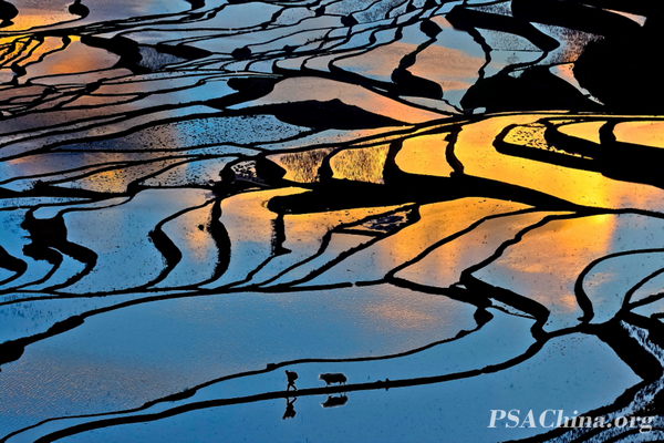 02.���л�����GIP練�����Ʒ�����ʻá�Color illusion.jpg