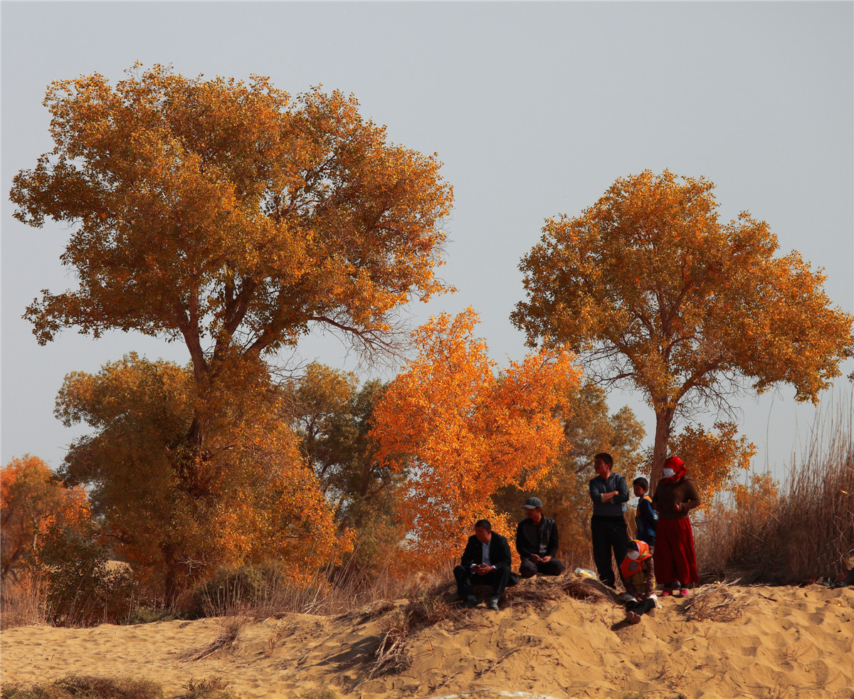 ������ (5).jpg