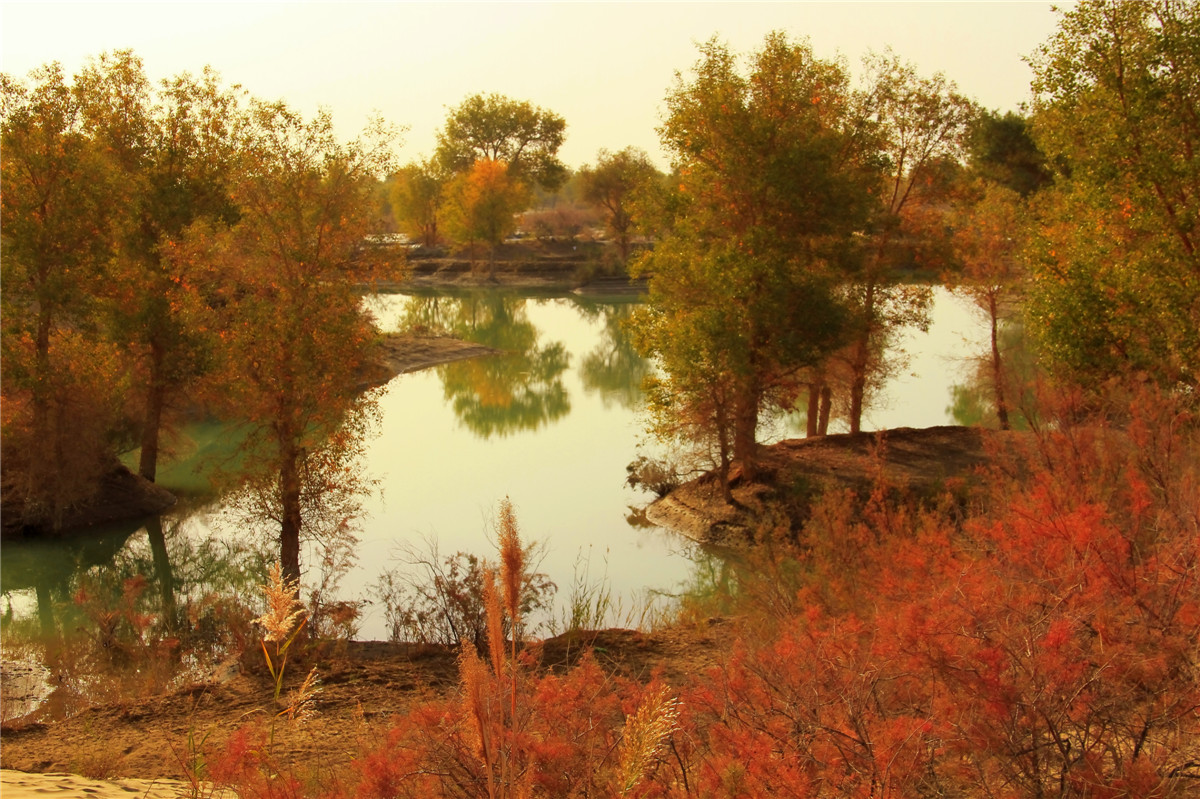 ������ (1).jpg