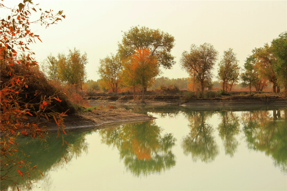 ������ (2).jpg