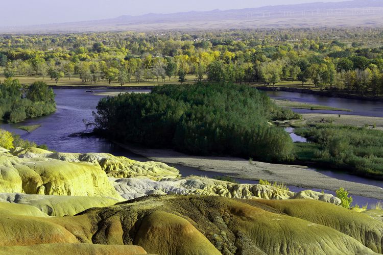 ���̲��ɫ��