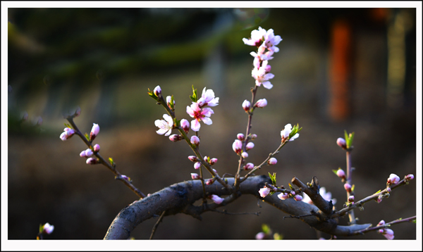 2014��3��30�����ֹ����� 06312.jpg