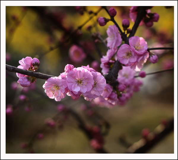 2014��3��30�����ֹ����� 00812.jpg