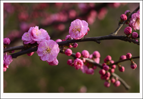 2014��3��30�����ֹ����� 01312.jpg