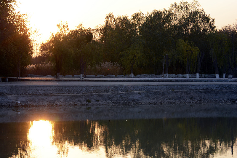 ��ӹ�԰ 251.jpg