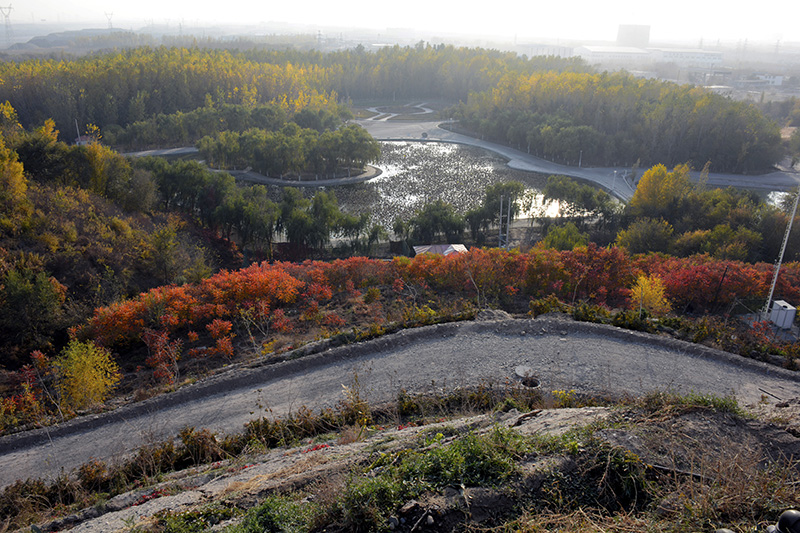 ��ӹ�԰ 183.jpg