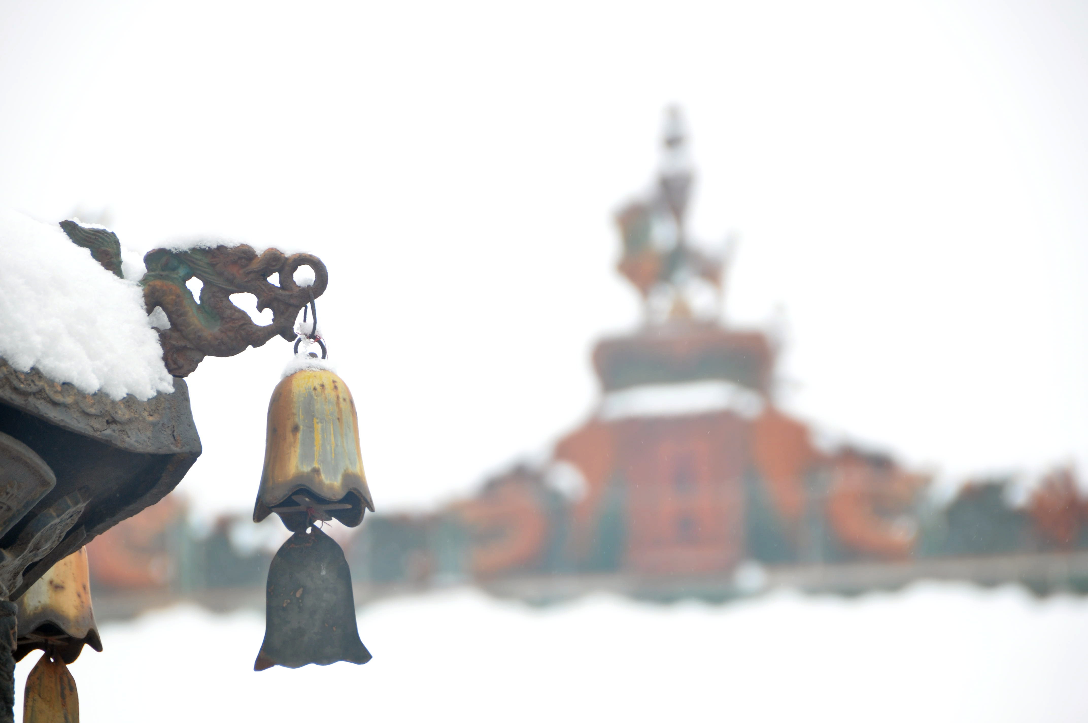 ����-------����ɽ���˳����Ϸ�