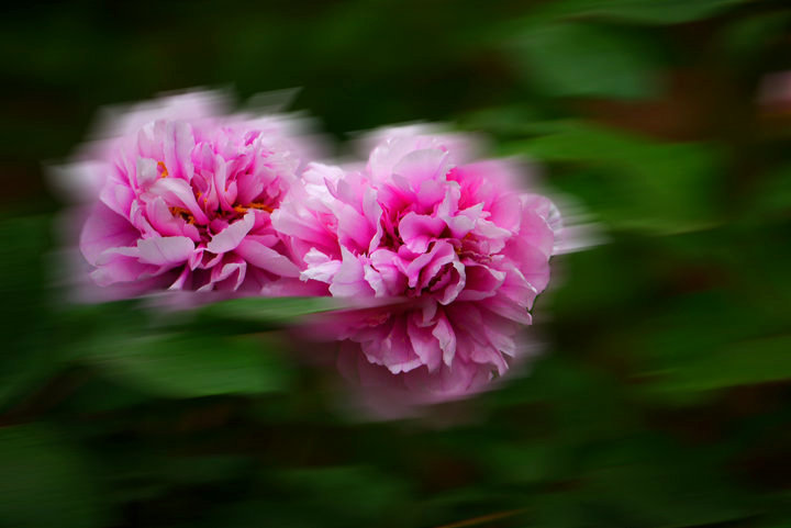 P1030864_.jpg