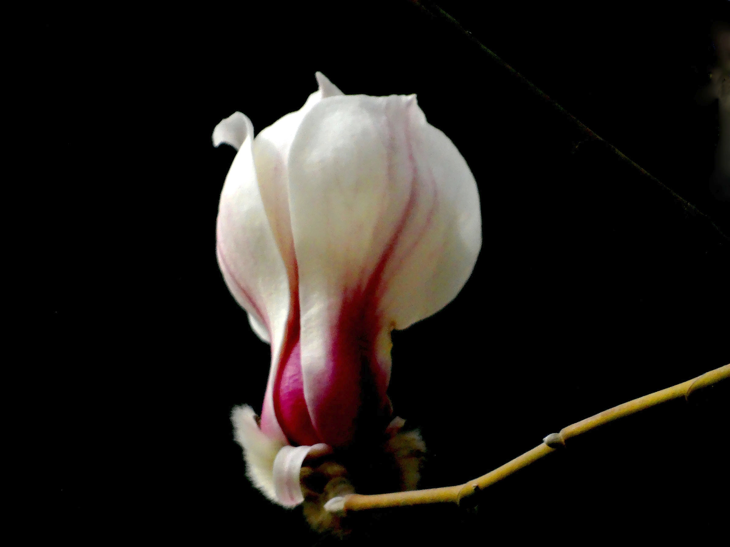 �������� (1).jpg