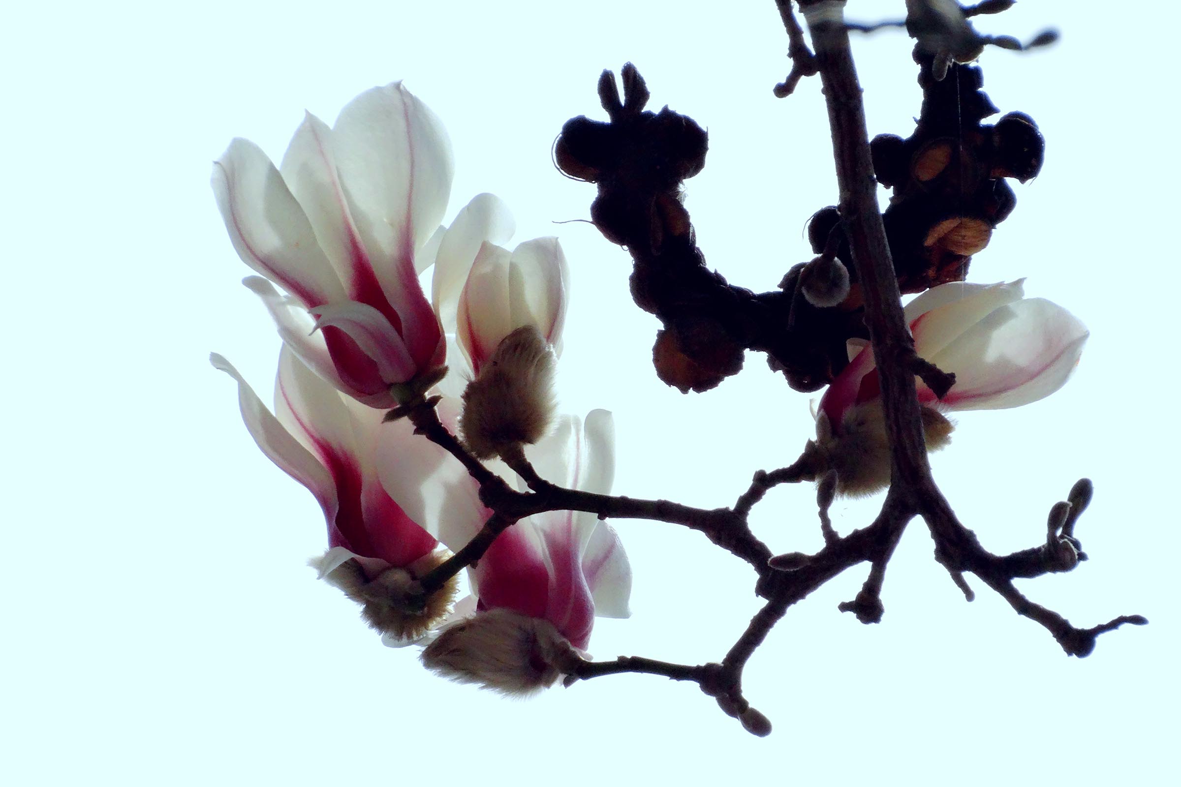 �������� (4).jpg