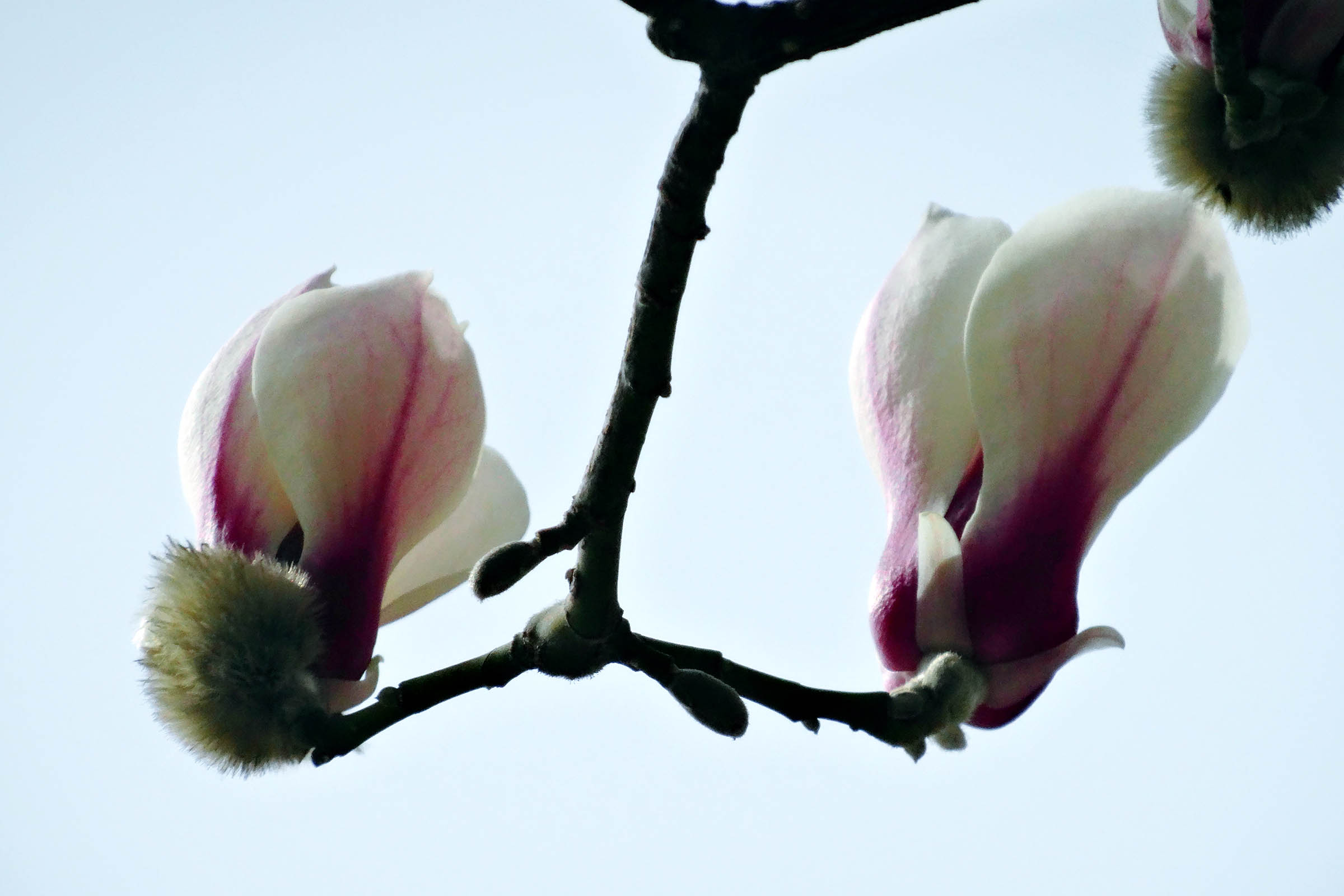 �������� (6).jpg