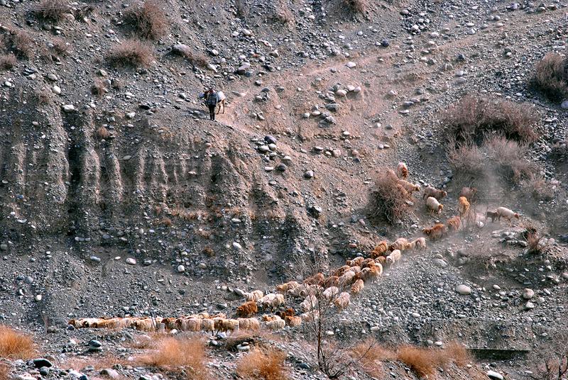 ��Ƭ 102_����.jpg