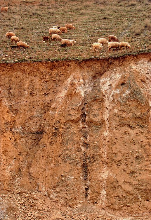 ��Ƭ 011_����.jpg