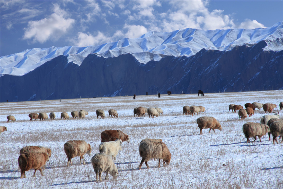 ���� (3).jpg