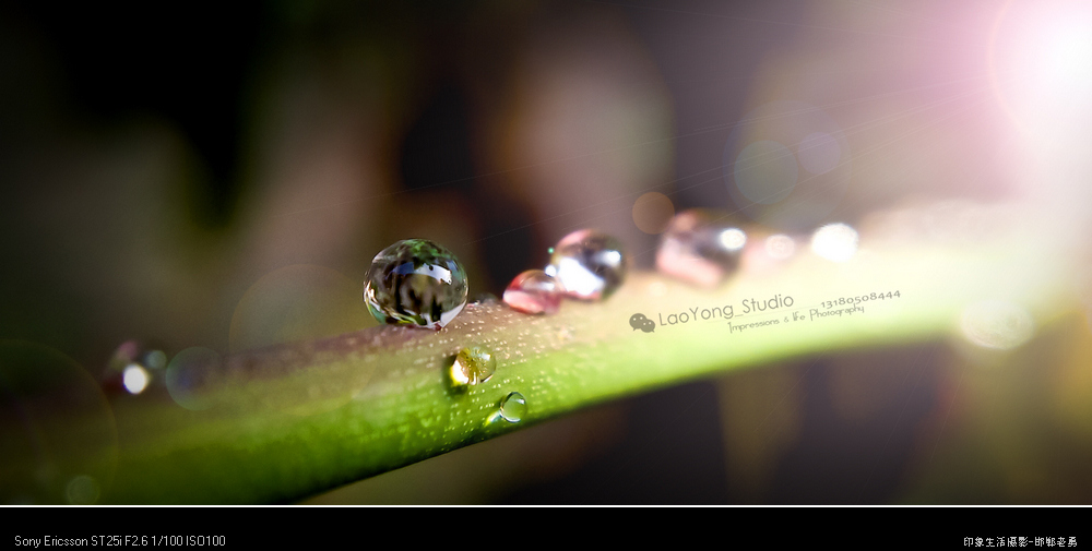 ӡ��������Ӱ