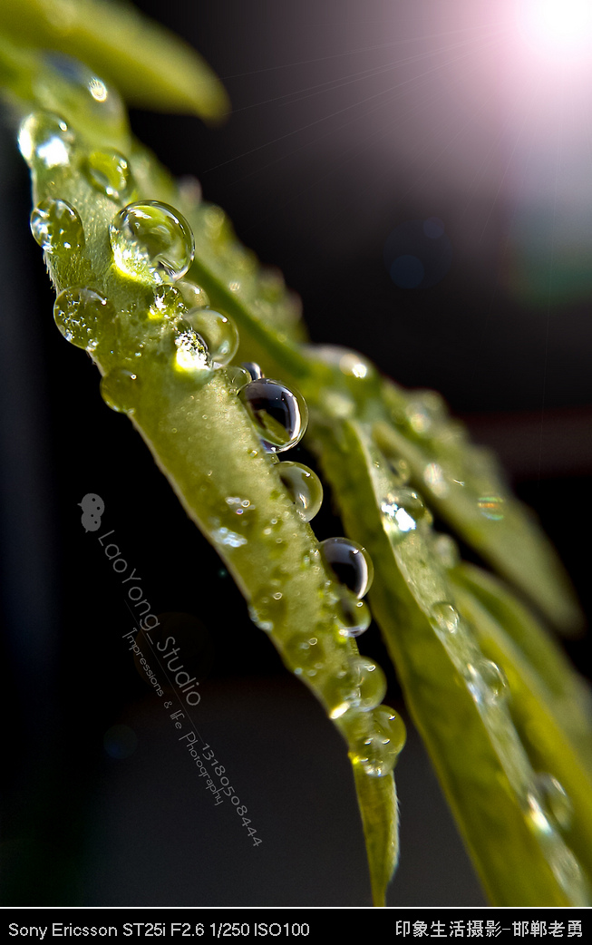 ӡ��������Ӱ