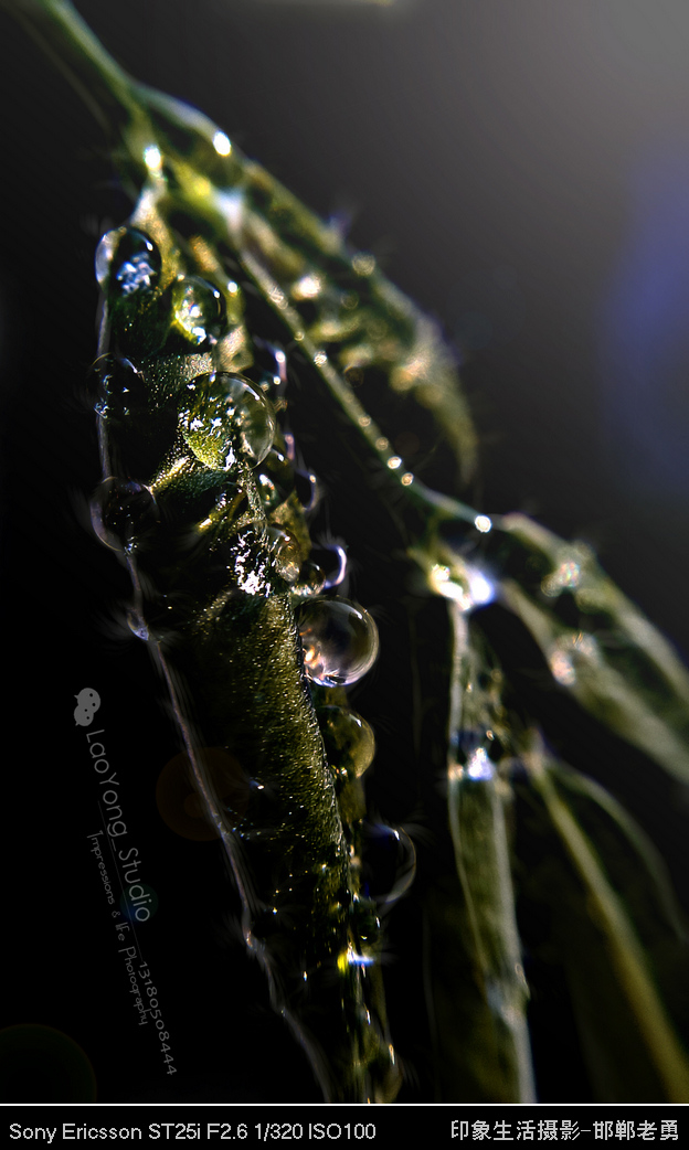 ӡ��������Ӱ