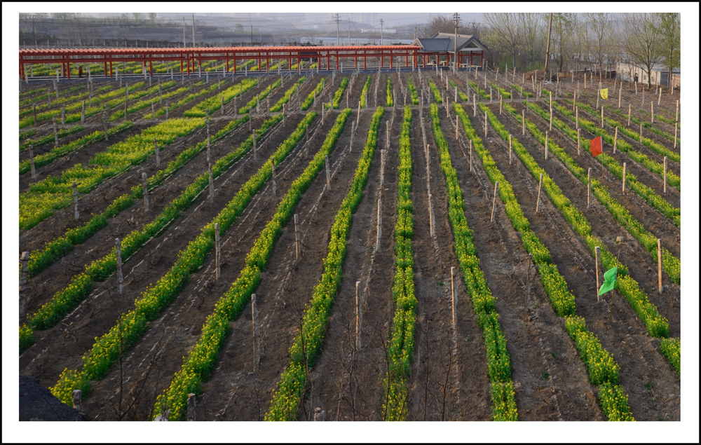 2014��4��7���һ���Ƭ���� 0021.jpg