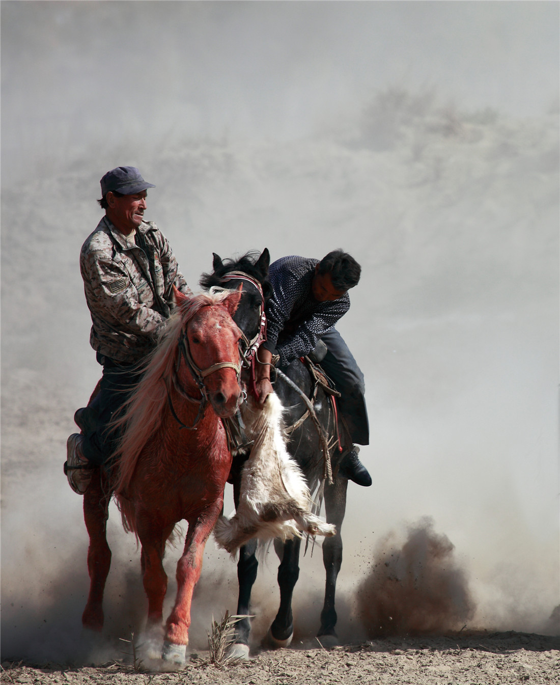 ���� (2).jpg