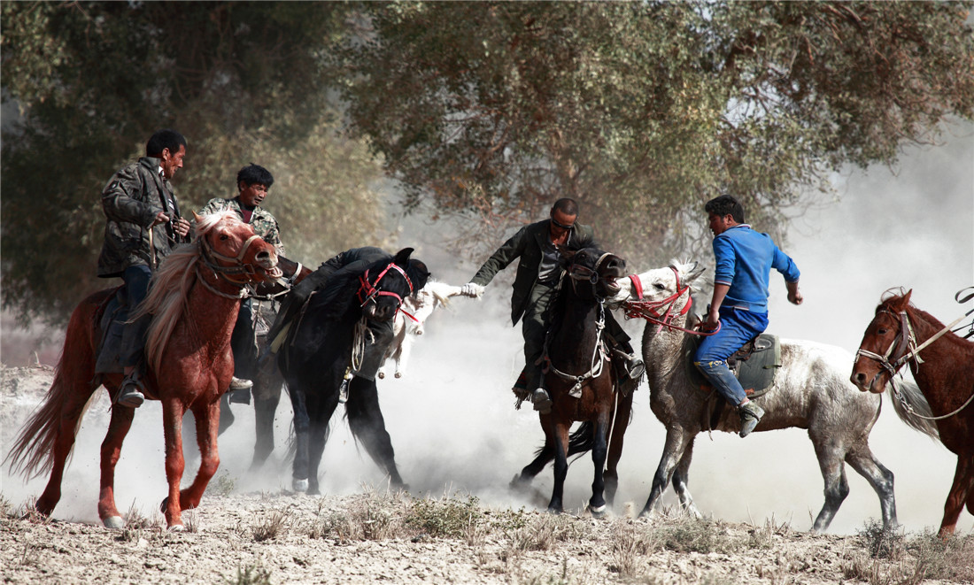 ����_ (3).jpg