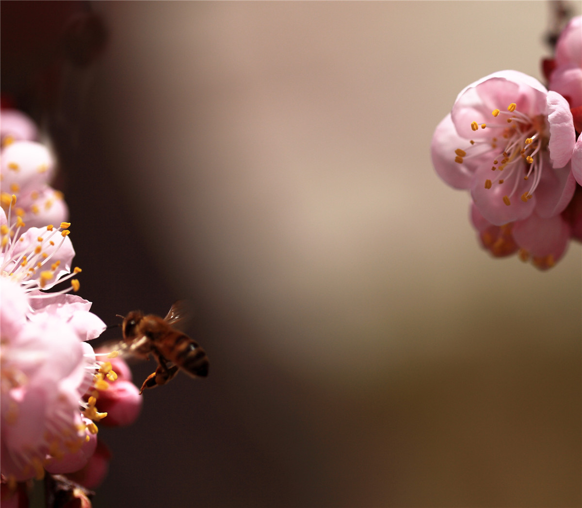 ���ڵ��۷� (2).jpg