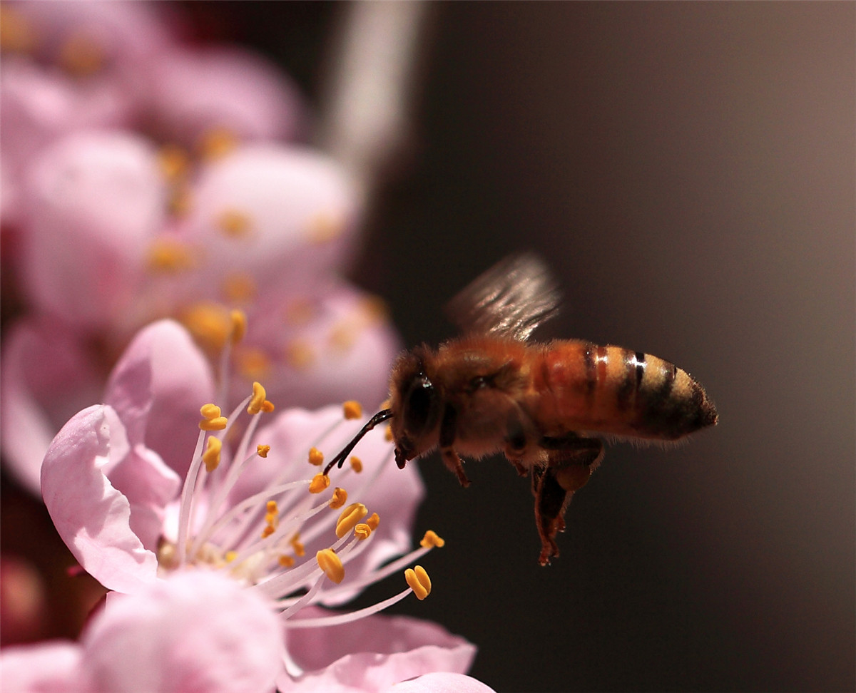 ���ڵ��۷� (4).jpg