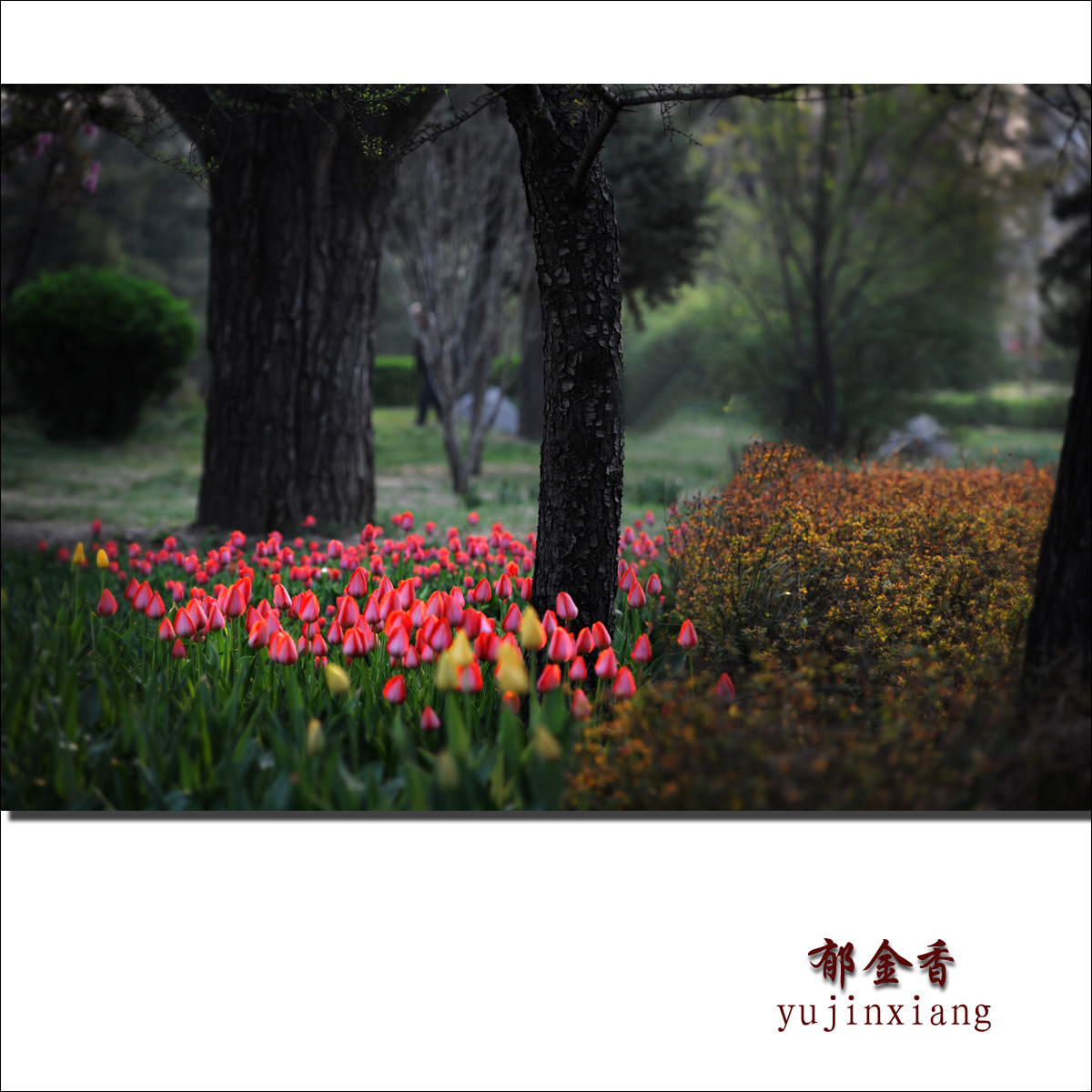 ������3 - ����.jpg