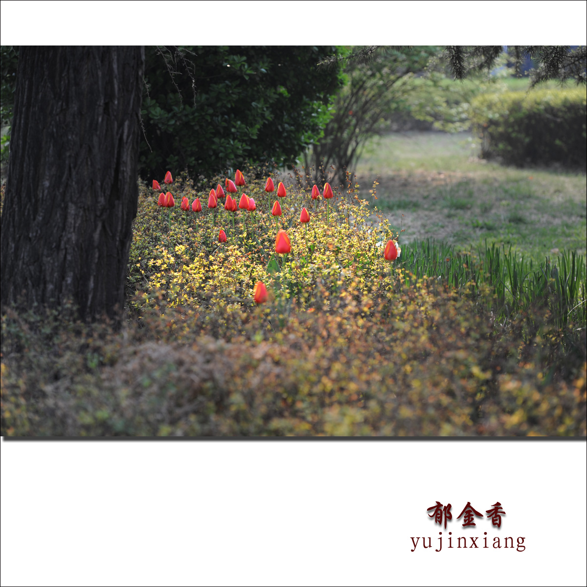 ������5 - ����.jpg