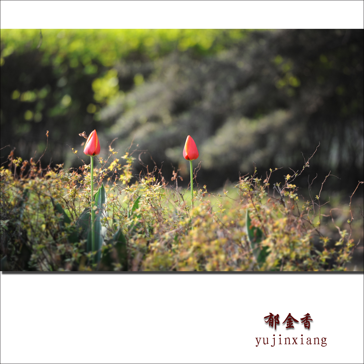 ������8 - ����.jpg