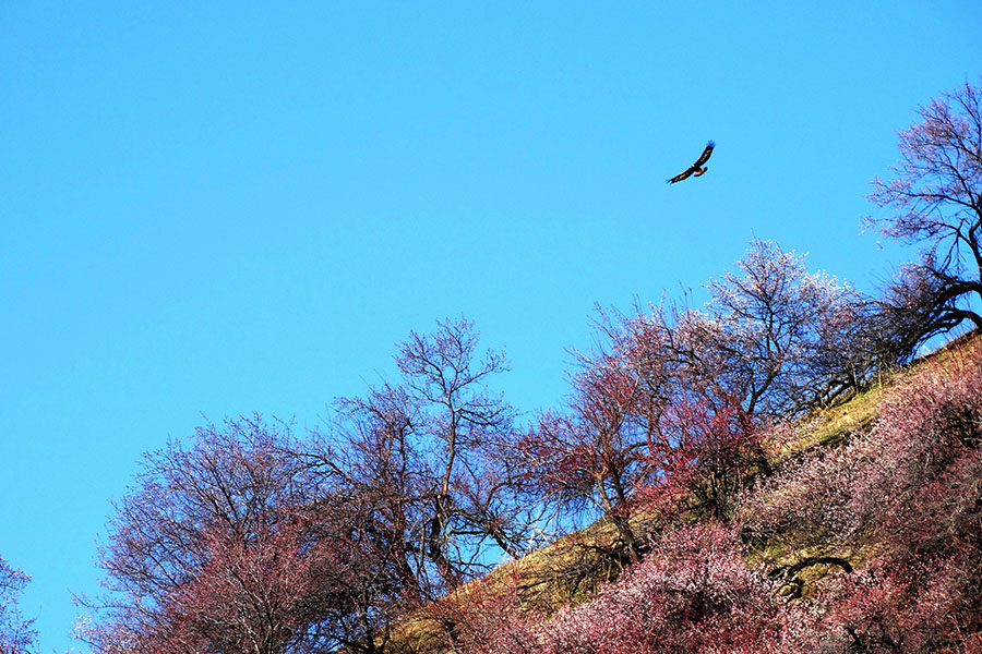 ������Դ�������ӻ�����Ӱ��һ��20140409 (4).jpg