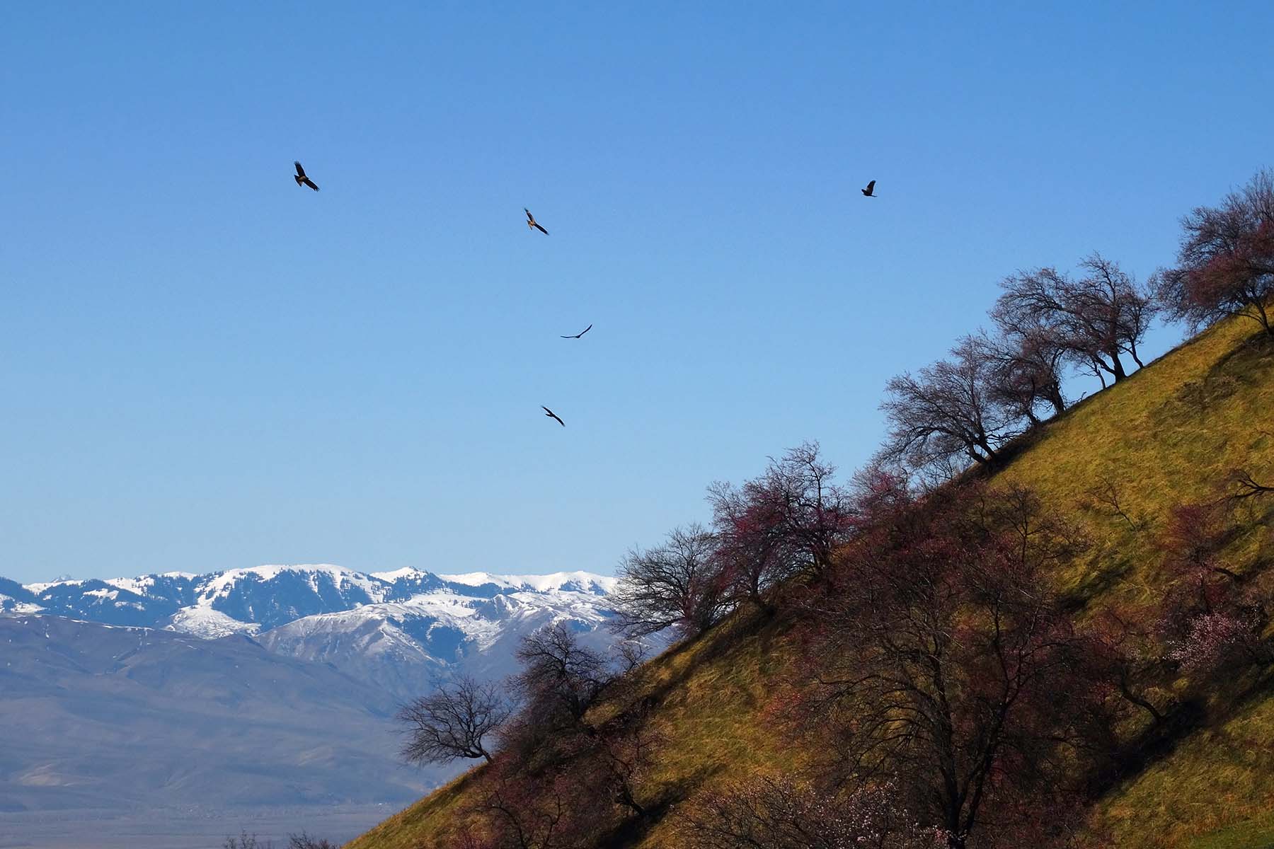 ������Դ�������ӻ�����Ӱ��һ��20140409 (7).jpg