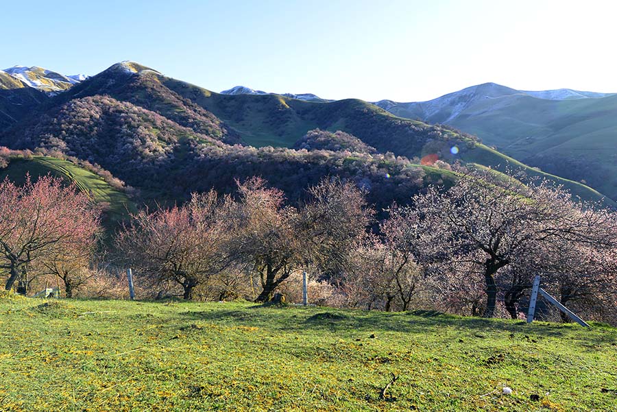 ������Դ�������ӻ�����Ӱ��һ��20140409 (8).jpg