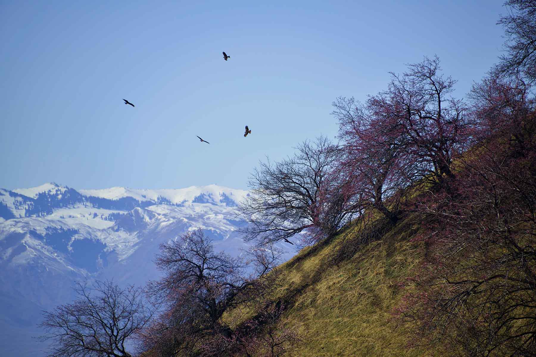 ������Դ�������ӻ�����Ӱ��һ��20140409 (9).jpg