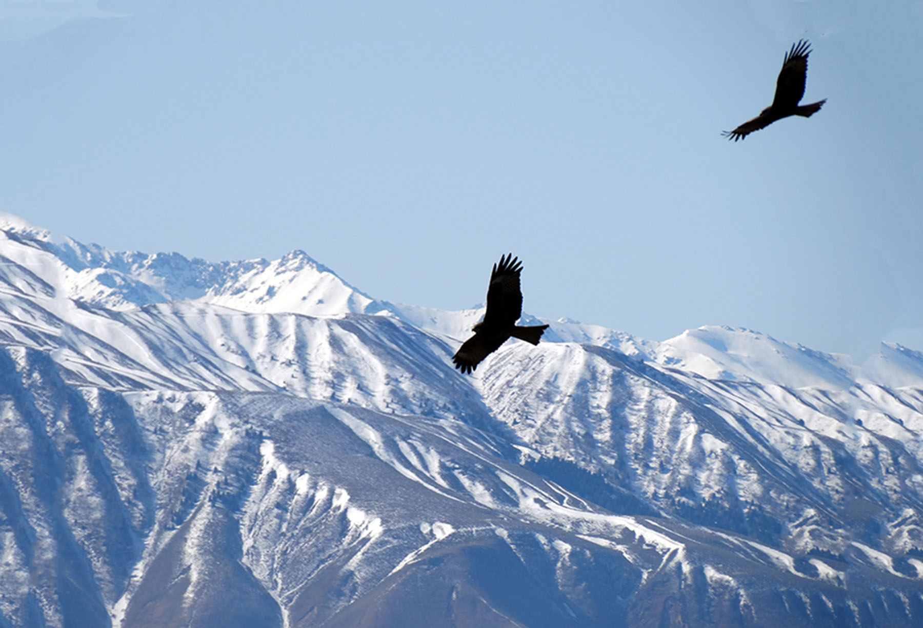 ������Դ�������ӻ�����Ӱ��һ��20140409 (5).jpg