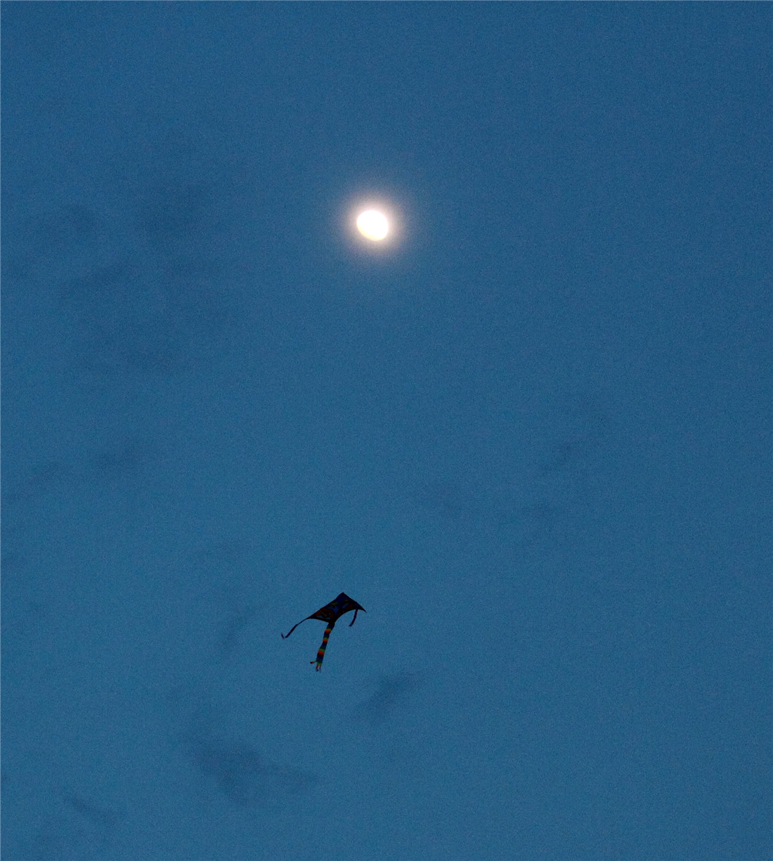 ���� (5).jpg