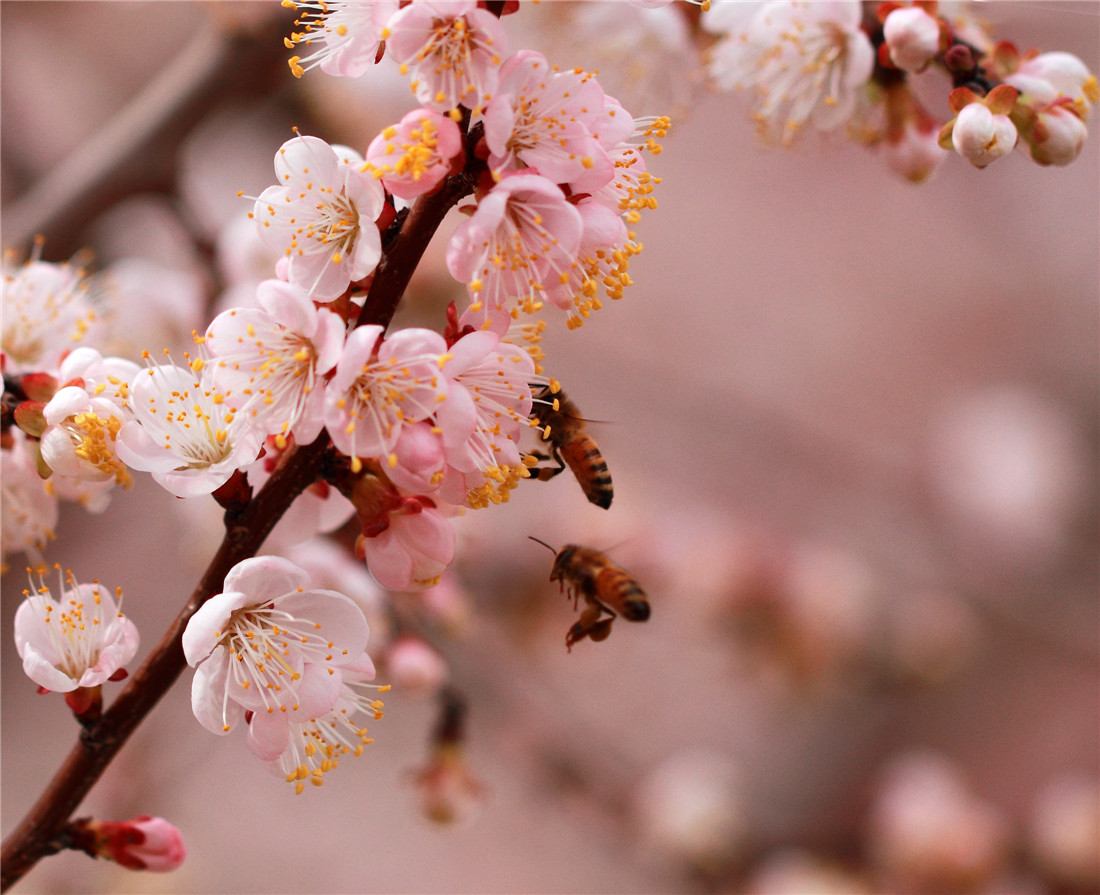 �ӻ����۷� (5).jpg