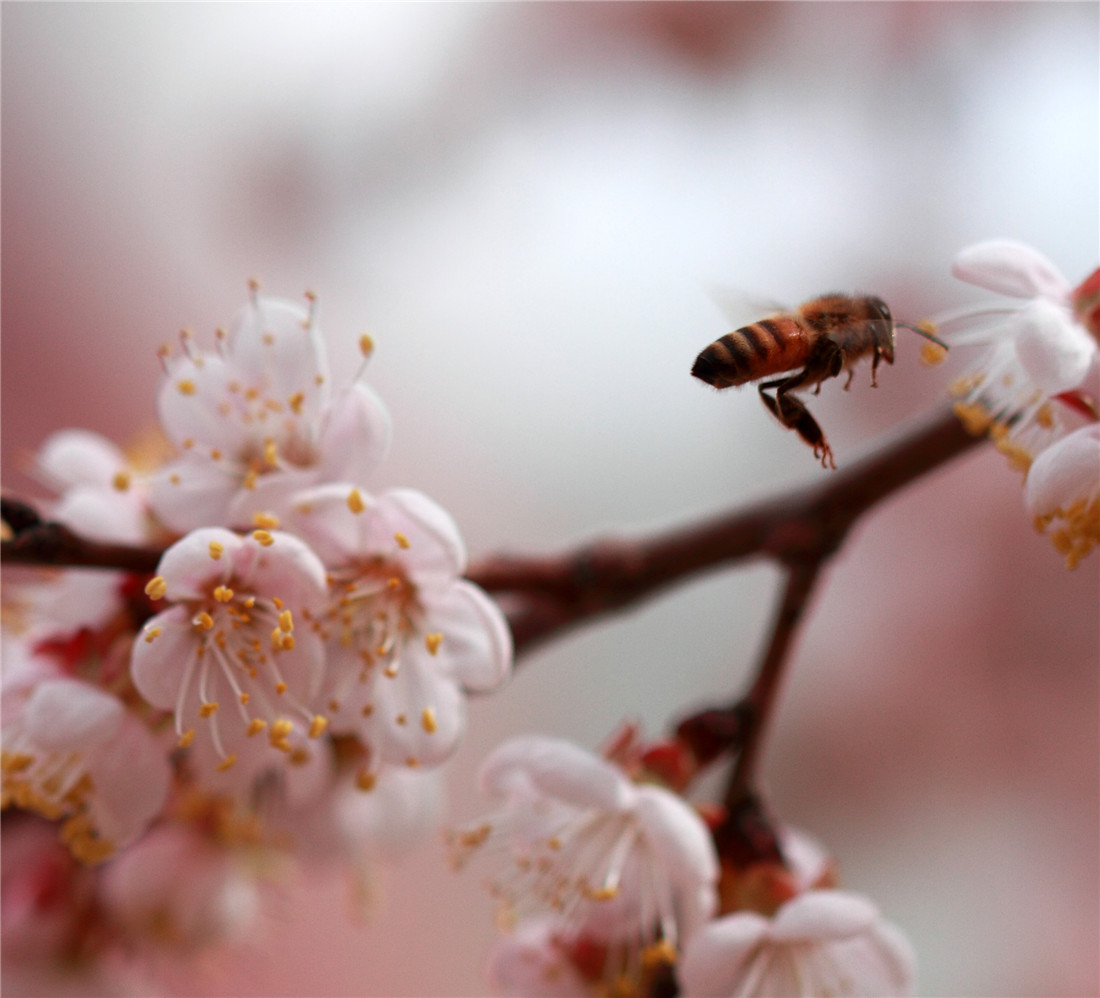 �ӻ����۷� (2).jpg