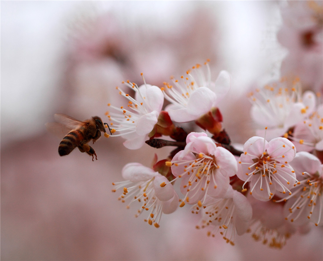 �ӻ����۷� (6).jpg