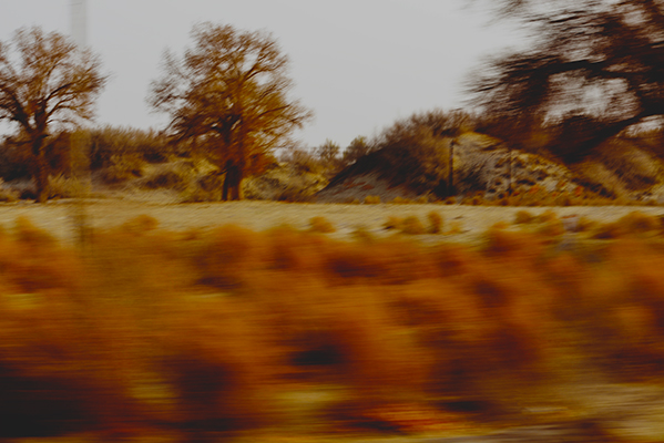 �λú�����