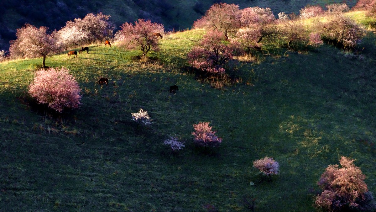 Ϧ��б���ӻ���  (2).jpg