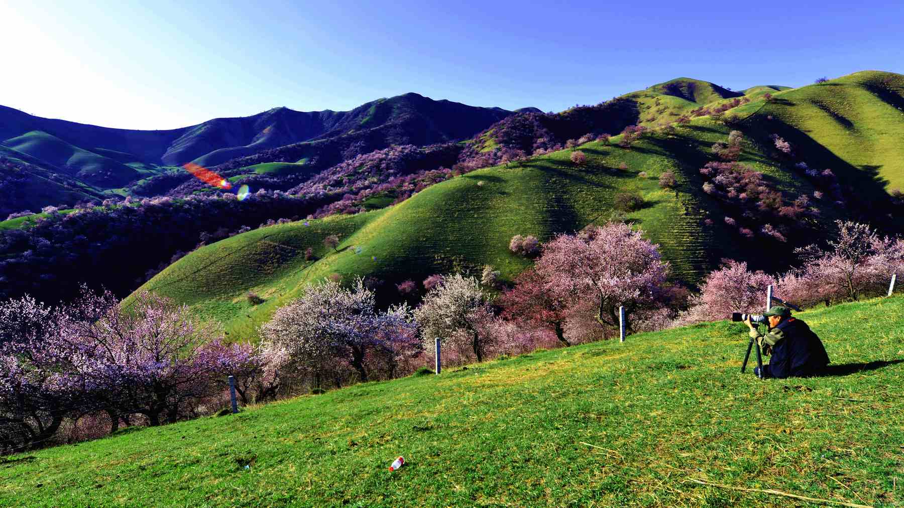 Ϧ��б���ӻ���  (3).jpg