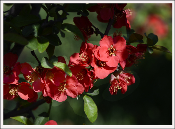 2014��4��3����Ƭ ����02512.jpg